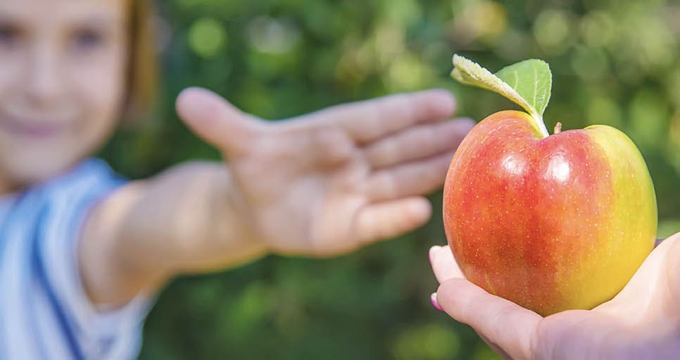 child with an apple in the garden. Selective focus.