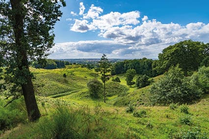 Scenery with green hills, trees and blue sky with clouds in Svanninge Bakker, Denmark